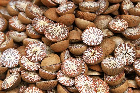 betel nut merchants unhappy  indias import duty global  light  myanmar