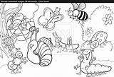 Designlooter Insects sketch template