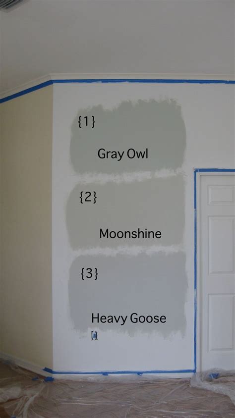 gray owl moonshine heavy goose paint colors benjamin moore