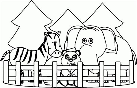 coloring pages  zoo animals  preschool
