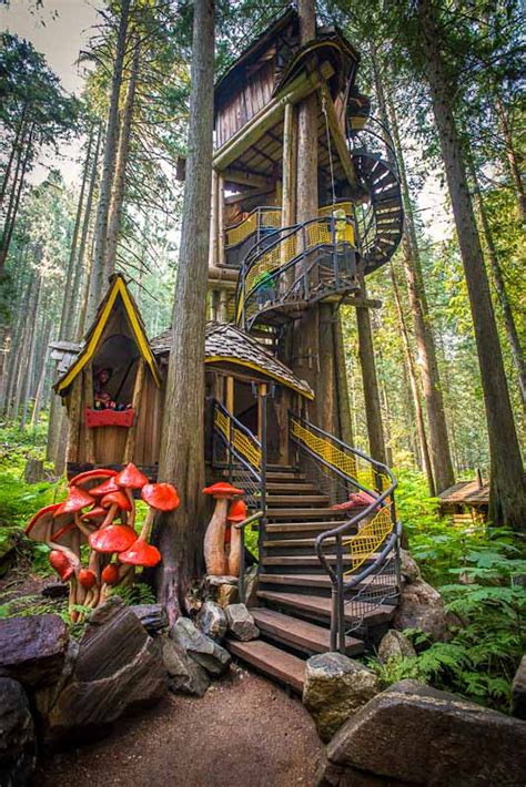 coolest tree houses   world    amazing homes living  dream