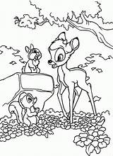 Bambi Thumper Coloring Flower Pages Popular Library Clipart Books Coloringhome sketch template