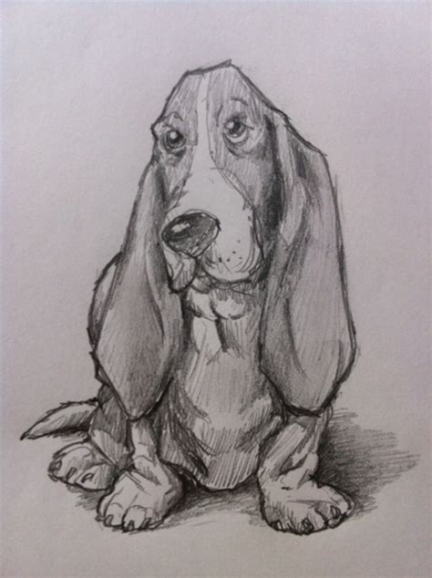 draw  basset hound dog feltmagnet