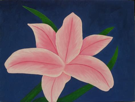 paint  lily flower  oils