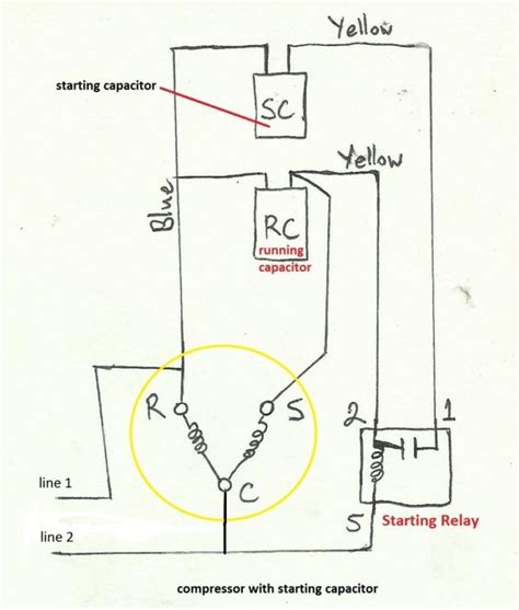 compressor start capacitor wiring diagram thaimeterd dataman