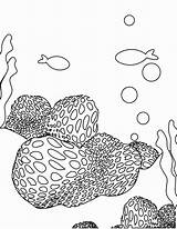 Koralowa Rafa Kolorowanki Koralle Reef Ausmalbild sketch template