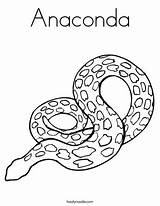 Anaconda Reptiles Schlange Ausmalbild Twistynoodle Tracing Lizard Letzte Minibook sketch template
