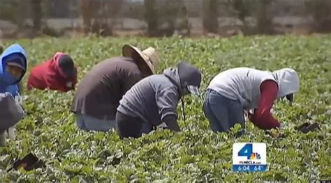 farm workers fired for leaving fields during california wildfire madness and reality