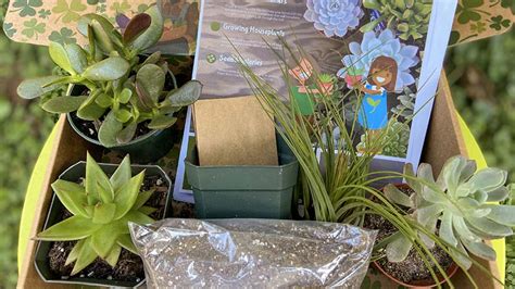 jc raulston arboretum  grow box