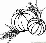 Corn Coloring Pumpkins Pages Thanksgiving Printable Coloringpages101 Color sketch template