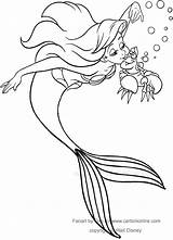Mermaid Little Ariel Sebastian Coloring Granchio Cangrejo Crab Pages Drawing sketch template