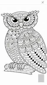 Coloring Owl Pages Mandala Adult Owls Books Colouring Printable Adults Animal Amazon Template Easy Choose Board Drawing sketch template