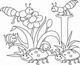 Coloring Pages Bugs Preschool Spring Color Printable Getcolorings Print sketch template