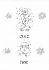 Cold Hot Worksheets Worksheet sketch template