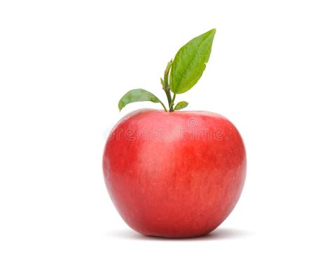 red apple stock image image  variation organic delicious