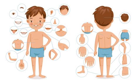 learning names  body parts  spanish trufluency kids