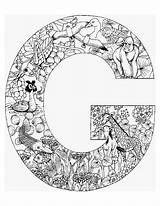 Colorat Animale Alfabetul P07 Planse Primiiani Desene Cauta Copii Isteti Prin sketch template