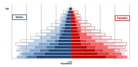 Types Of Population Pyramids Planning Tank®