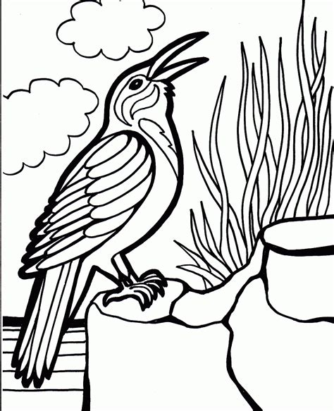 bird coloring pages family  learning time