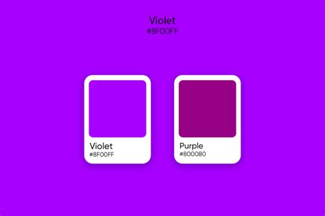 purple  violet color