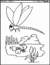 Coloring Pages Dragonfly Printable Template Color Kids Colouring Dragon Fly Print Animal Templates Animals Sheets Popular sketch template