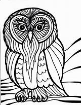 Coloring Pages Bird Owl Birds Printable Kids Owls Print Book Sheets Barn Printables Hard House Colouring Peacock School Simple Colors sketch template