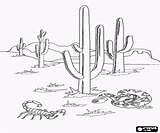 Sonoran Desert Coloring Pages Saguaro Cactus Landscape Scorpion Landscapes Natural Famous Oncoloring sketch template