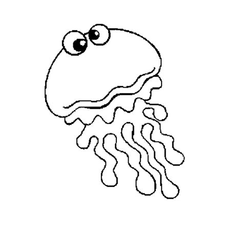 jellyfish coloring pages coloring home