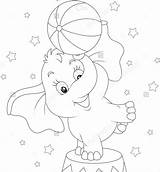 Elephant Circus Template Coloring Pages sketch template