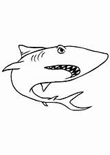 Haaien Kleurplaten Kleurplaat Haai Requin Haie Animaatjes Nage Plongeur Malvorlagen Shark Duiker Hugolescargot Hugo Malvorlagen1001 Leuke Bron sketch template
