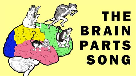parts   brain song youtube