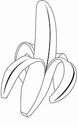 Banana Coloring Tree Getcolorings Pages sketch template