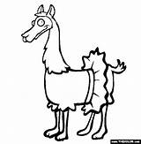 Coloring Llama Pages Lama Llamas Color Jayhawk Drawing Animal Animals Tutu Print Sheets Comments Online Clipart Bully Goat Coloringhome sketch template