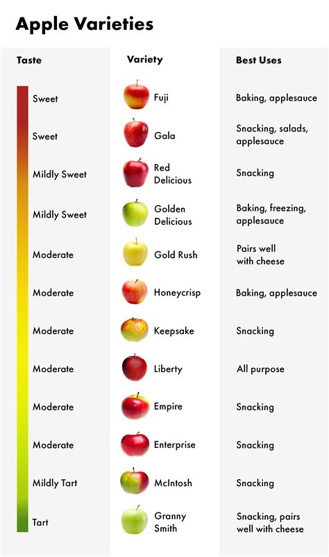 popular types  apples  varieties  eating  baking