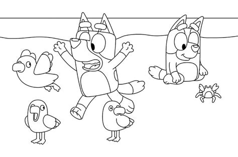 bluey coloring pages  coloring pages  kids beach coloring