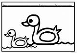 Duck Coloring Duckling Pages sketch template