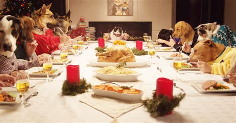 dogs sit    holiday dinner  wait    whos hosting