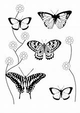 Coloring Pages Butterflies Butterfly Book Flowers Printable Flying Heart Making Adult Garden Two Clipartqueen sketch template