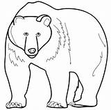 Bear Coloring Pages Brown Sleeping Color Printable Face Getcolorings Getdrawings Polar Drawing sketch template