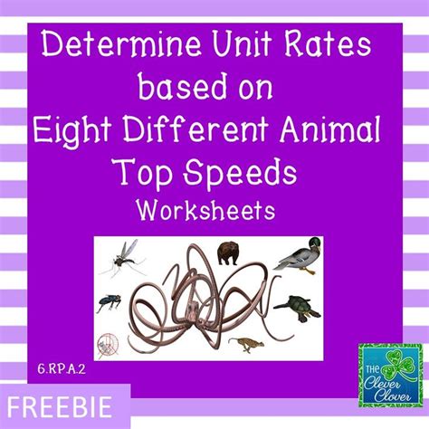 unit rate worksheet unit rate worksheet  unit  math