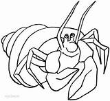 Crab Hermit Einsiedlerkrebs Cool2bkids Malvorlagen sketch template