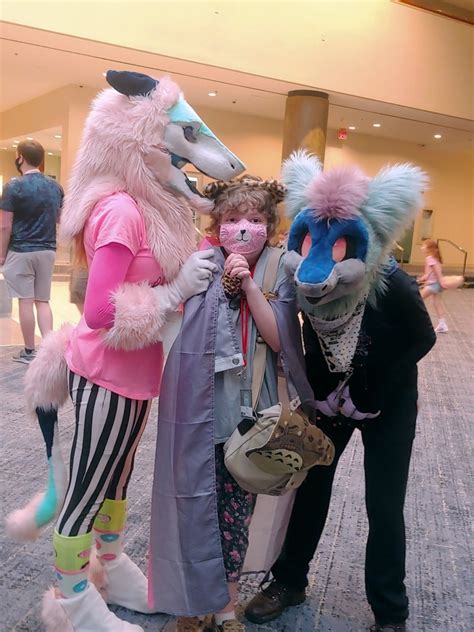 curious furries gather   images telegraph