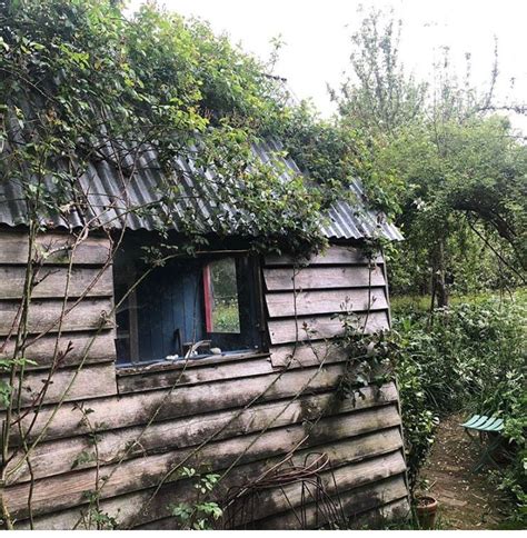 monty dons writing shed   shed instagram monty don