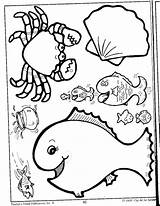 Colorir Oceanography Marinhos Animales Atividade Marinos Tf Relacionados sketch template