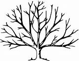 Leaves Tree Without Coloring Pages Printable Color Getcolorings sketch template