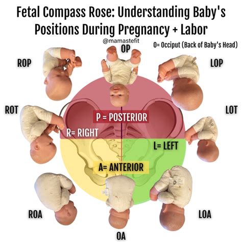 loa   position   baby  positions  baby