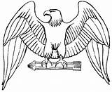Adler Eagle Ausmalbilder Ausdrucken Herunterladen Abbildung Coloriage Aigle sketch template