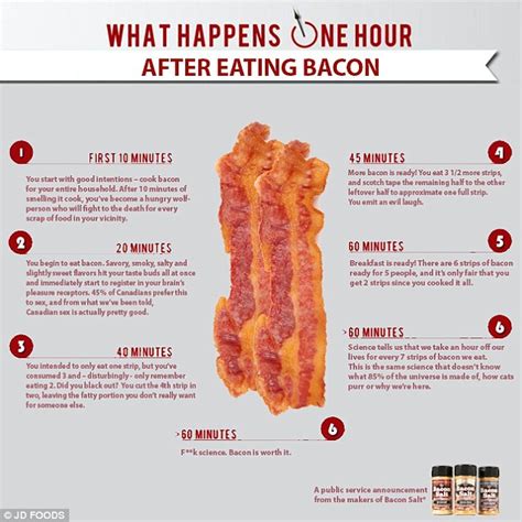 10 weird food related infographics venngage