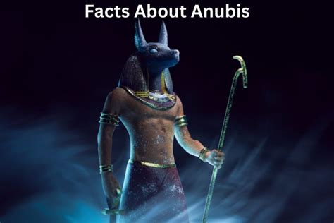 10 interesting facts about anubis the egyptian god design talk