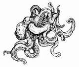 Octopus Drawings Drawing Mcguire Miranda sketch template